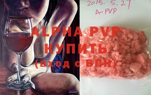 стаф Сосновый Бор