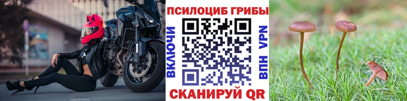 Галлюциногенные грибы Psilocybine cubensis Тарко-Сале